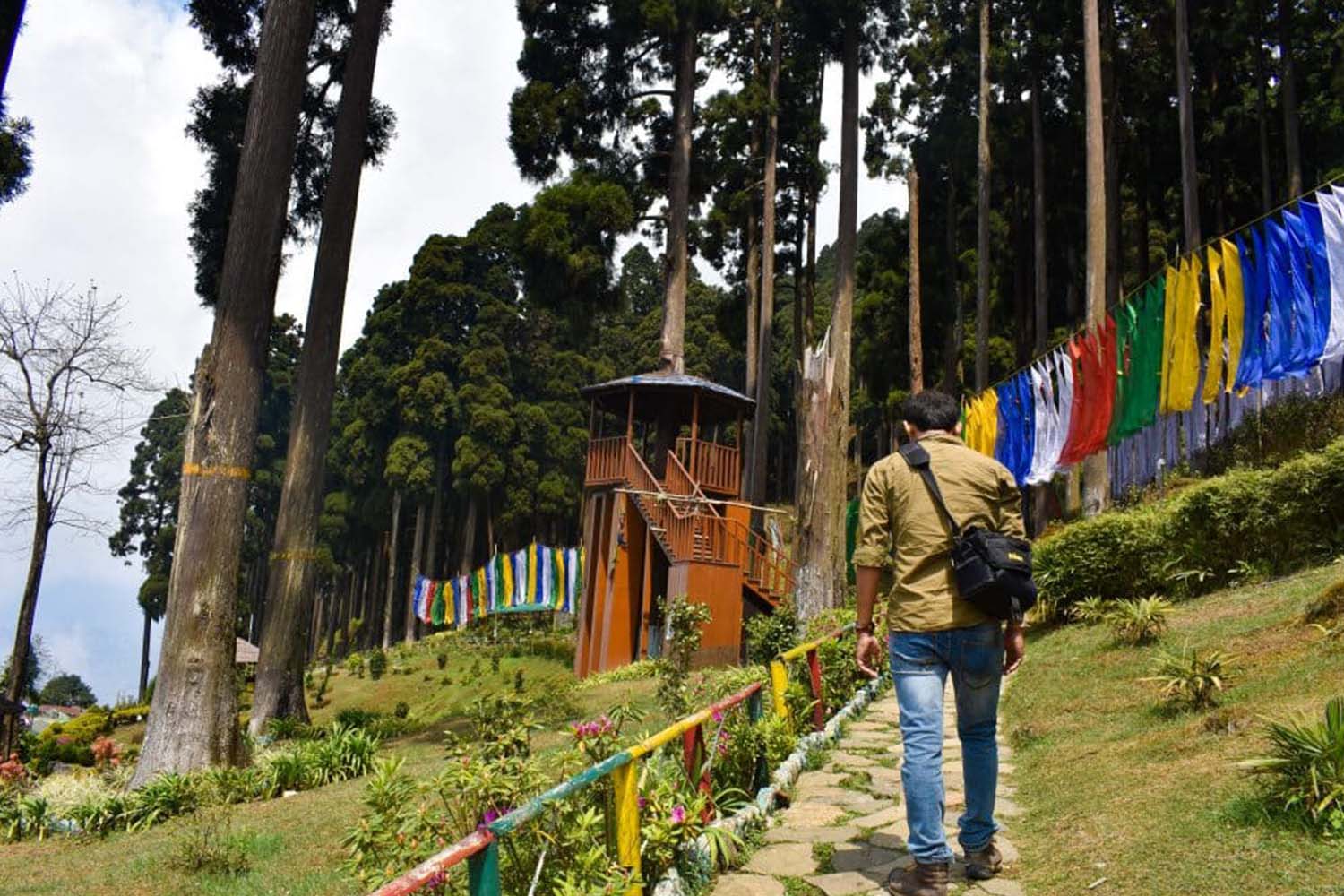 Takdah Tinchuley Sightseeing | Chota mangwa darjeeling blossom