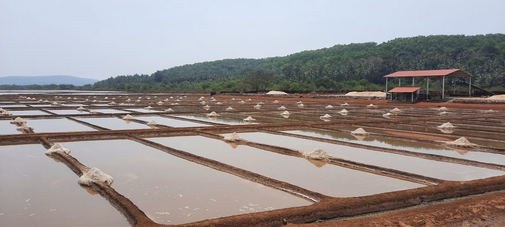 gokarna salt farming
