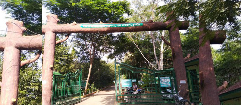 Ralamandal Wildlife Sanctuary, Best Place To Visit In Indore